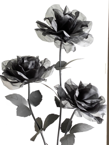 Black Giant Flower