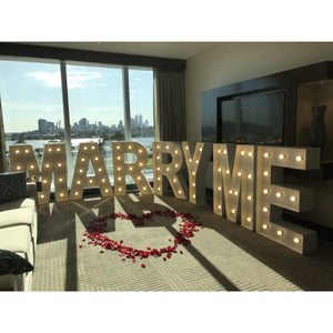 3.5ft light up letter available from A->Z